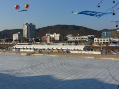 2019 홍천강 인삼송어축제